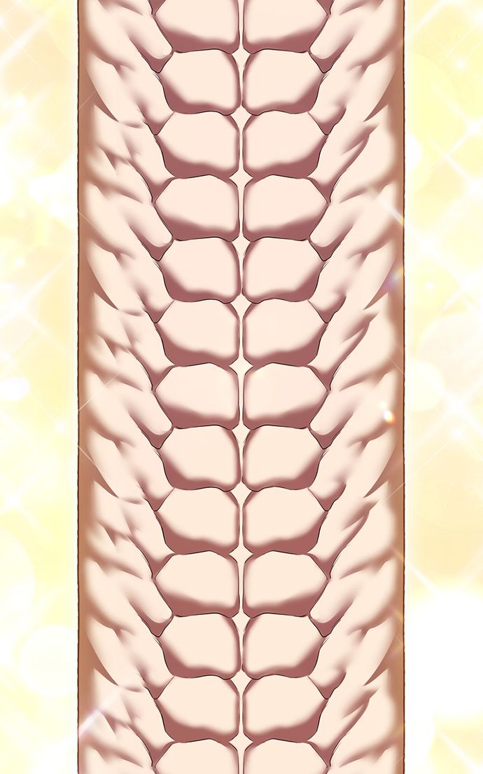 +99 Wooden stick Chapter 131 - Page 61