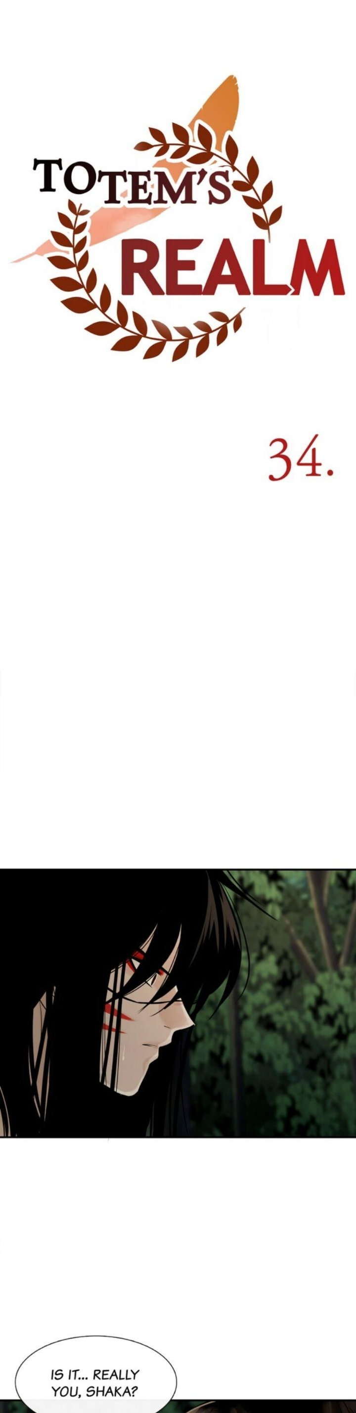 Totem Realm Chapter 34 - Page 9