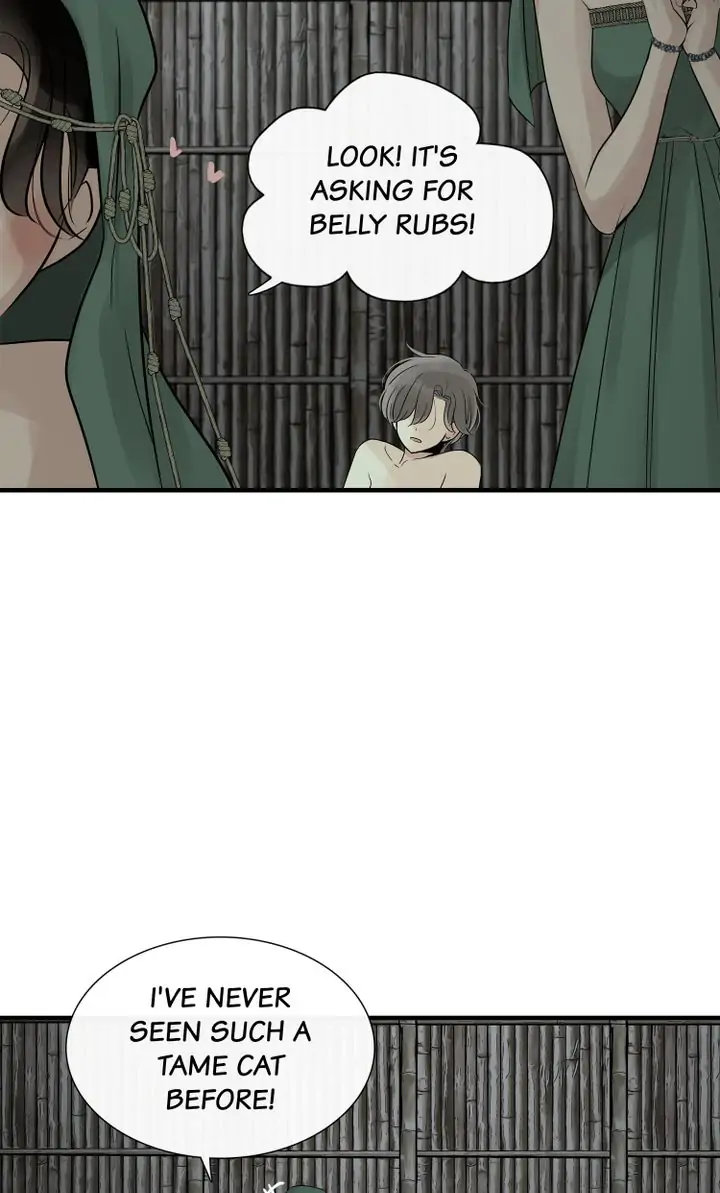 Totem Realm Chapter 79 - Page 8