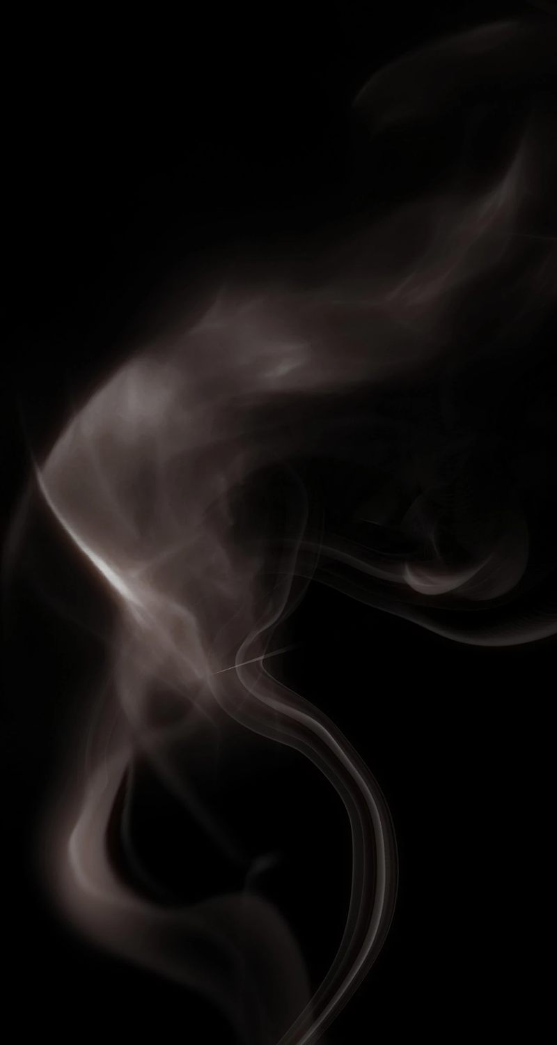 Skeleton Soldier Couldn’t Protect the Dungeon Chapter 334 - Page 38