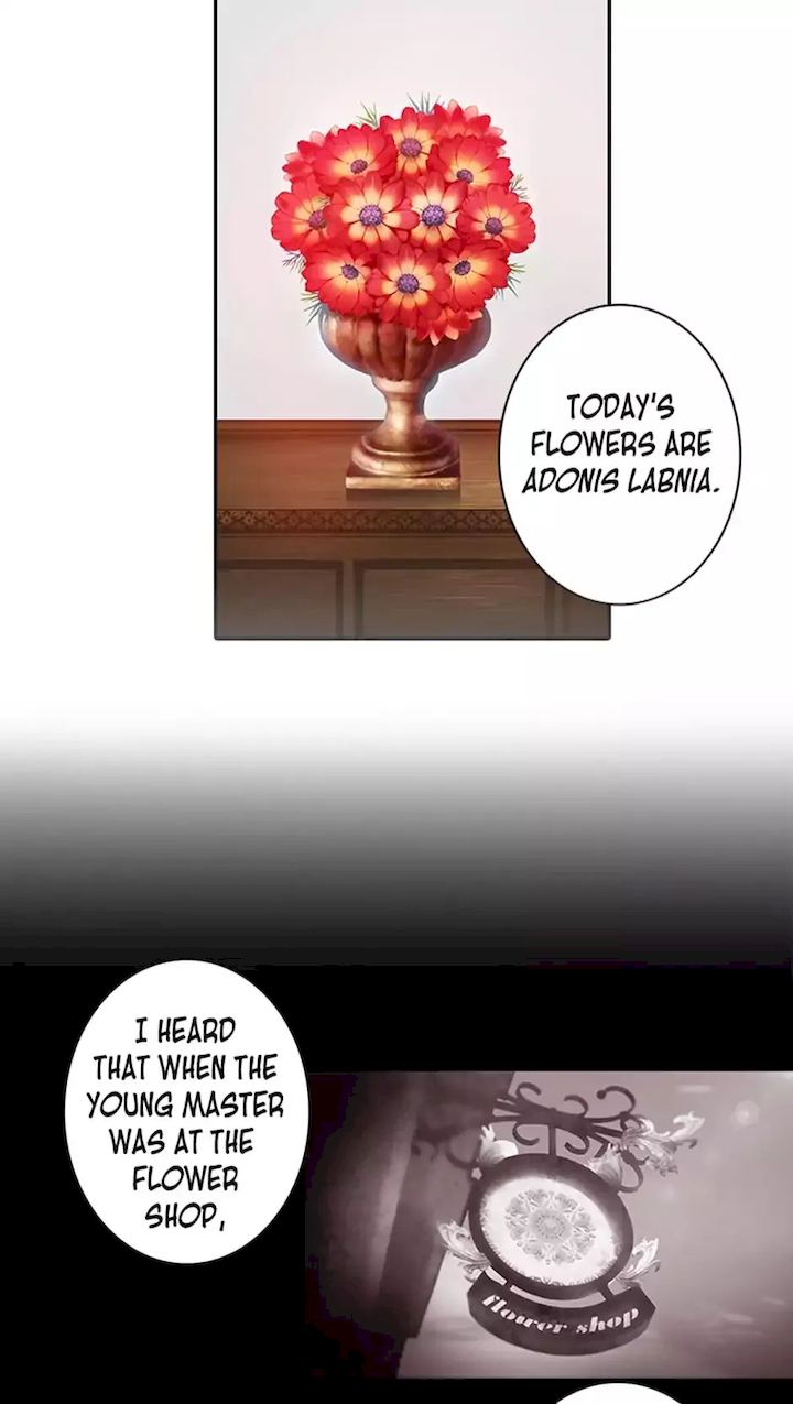 Reminiscence Adonis Chapter 1 - Page 40