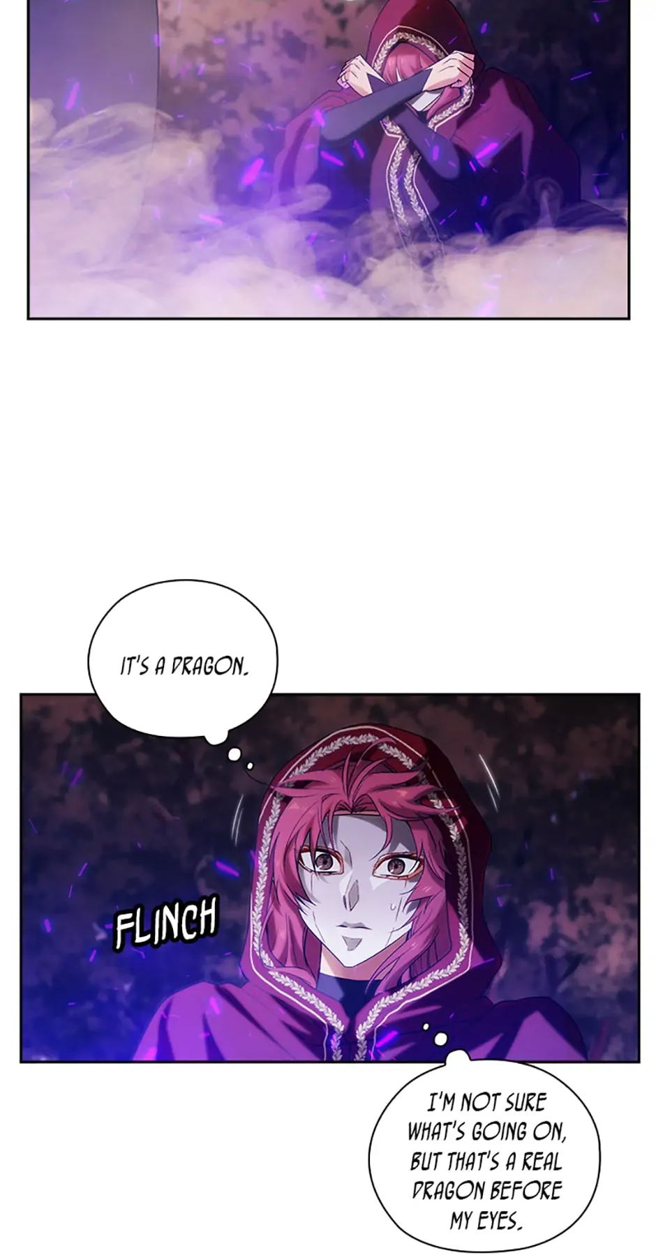 Reminiscence Adonis Chapter 219 - Page 29