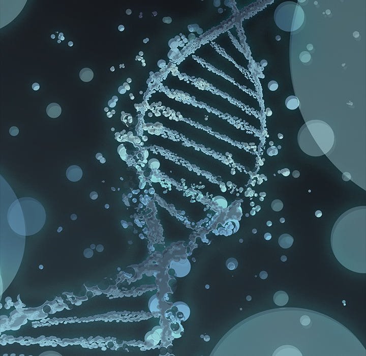 Leviathan Chapter 175 - Page 121