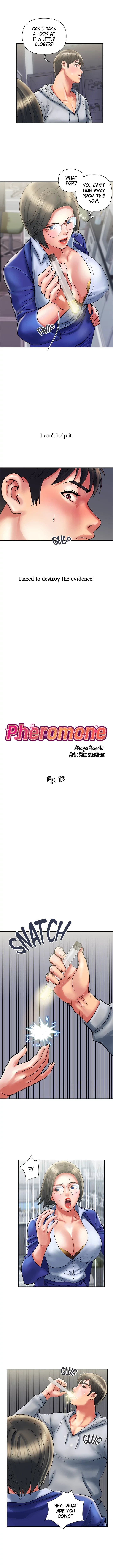 Pheromone Chapter 12 - Page 2