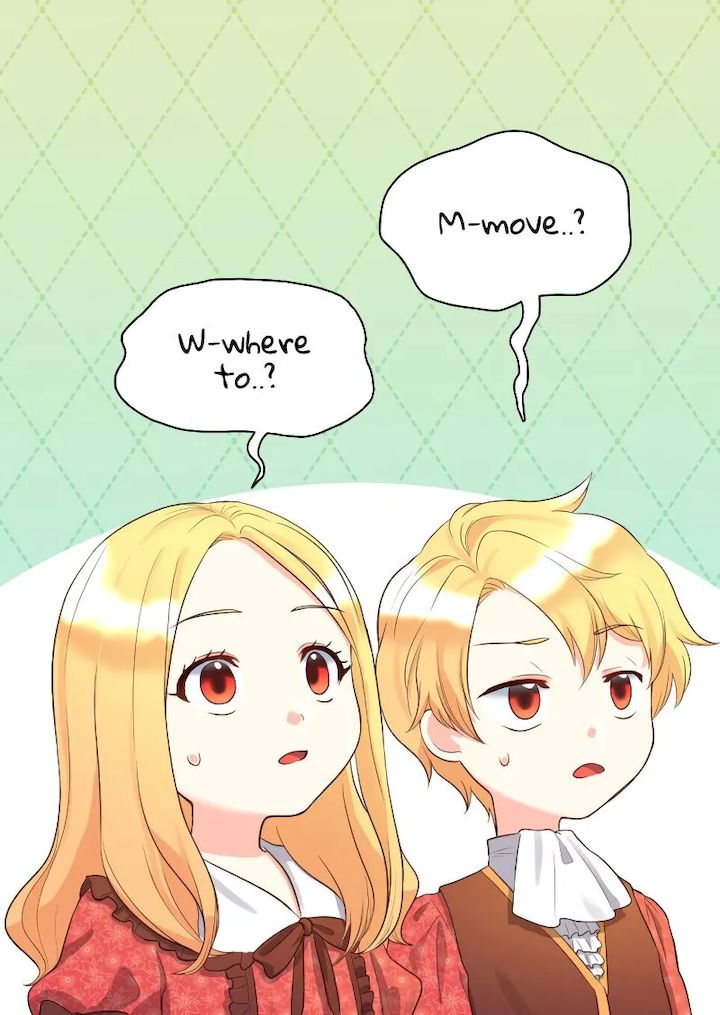 The Twin Siblings’ New Life Chapter 17 - Page 41