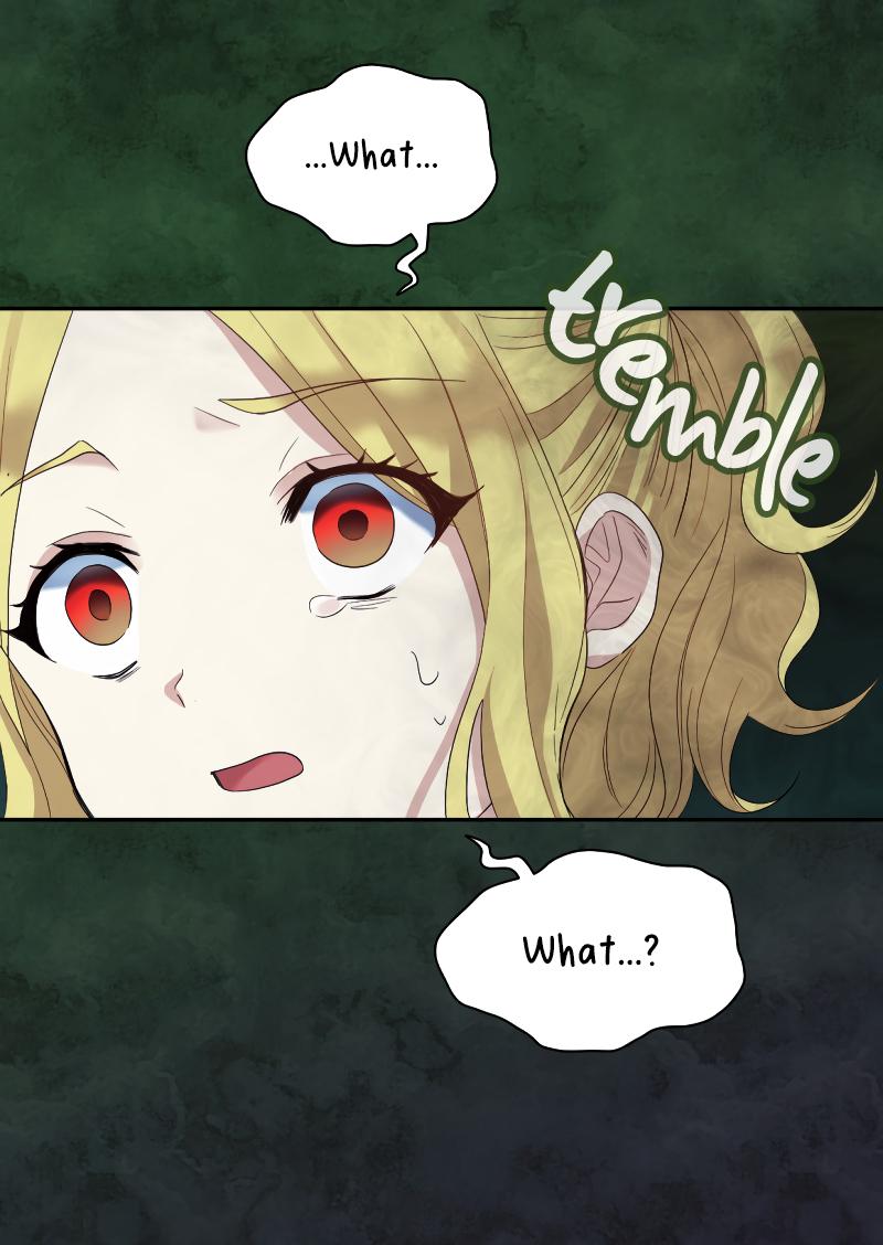 The Twin Siblings’ New Life Chapter 47 - Page 13