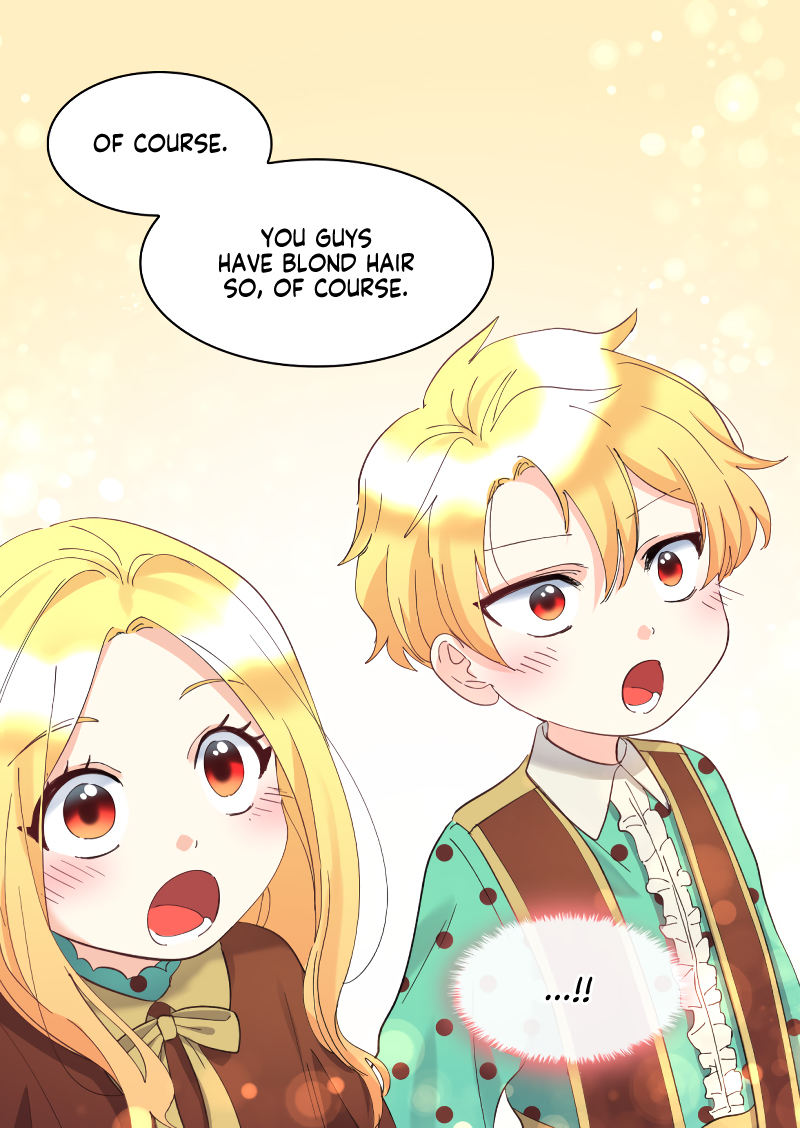 The Twin Siblings’ New Life Chapter 60 - Page 27