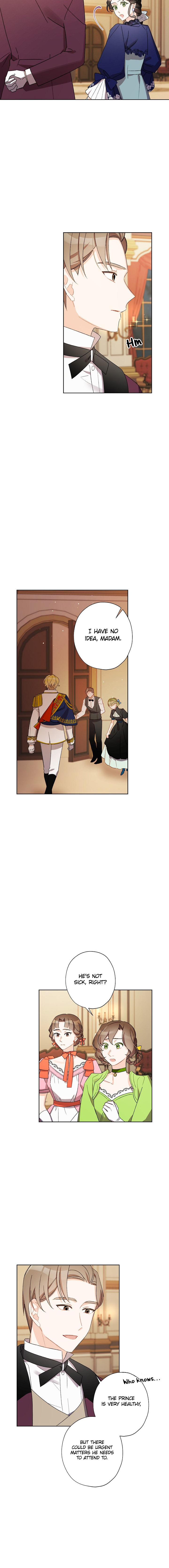 I Raised Cinderella Preciously Chapter 19 - Page 14