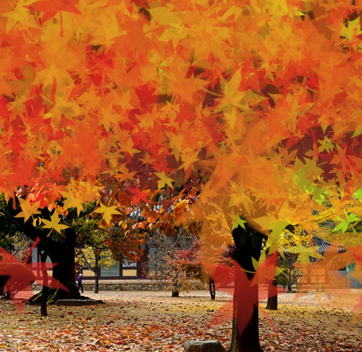 Silhouette Chapter 48 - Page 27