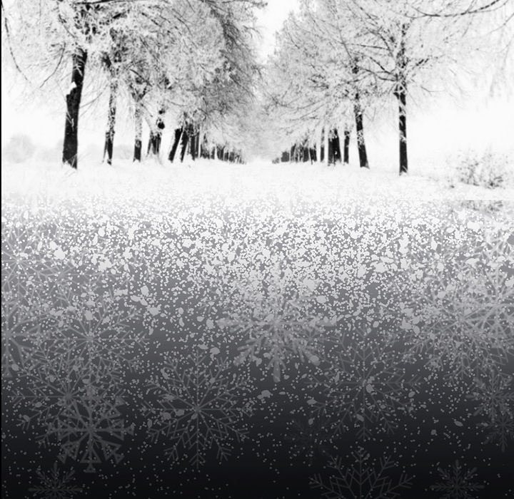 Silhouette Chapter 48 - Page 31