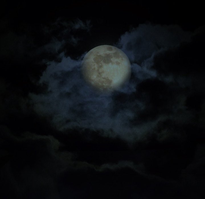 Silhouette Chapter 58 - Page 19