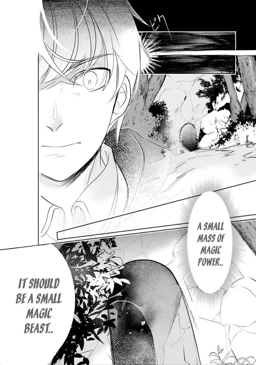 Mamono o Shitagaeru “Teiin” o Motsu Tensei Kenja – Katsute no Mahou to Juuma de Hissori Saikyou no Boukensha ni Naru Chapter 3.1 - Page 8