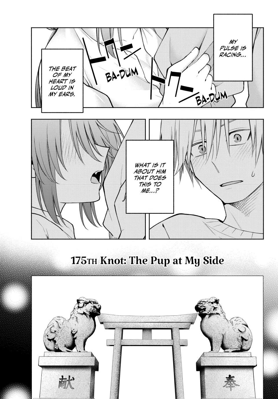 Matchmaking of the Amagami Household Chapter 175 - Page 1