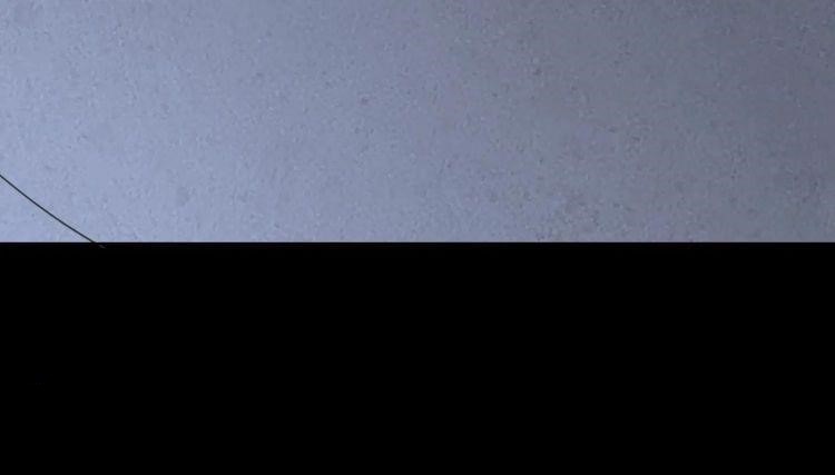 My Girlfriend is a Zombie Chapter 194 - Page 54