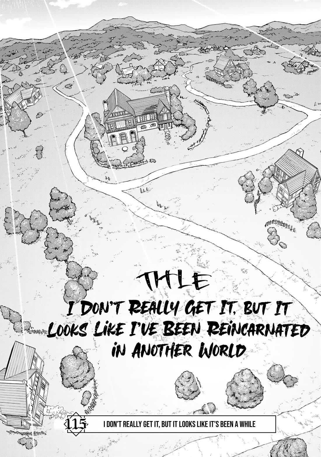 I Don’t Really Get It, but It Looks Like I Was Reincarnated in Another World Chapter 115 - Page 4