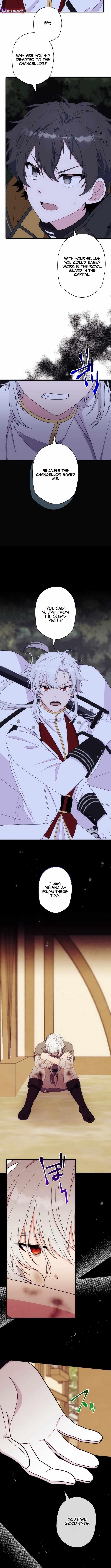 The Brilliant Healer’s New Life in the Shadows Chapter 27 - Page 8