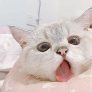 A single aristocrat enjoys a different world ~The graceful life of a man who never gets married~ Chapter 26 - Page 33