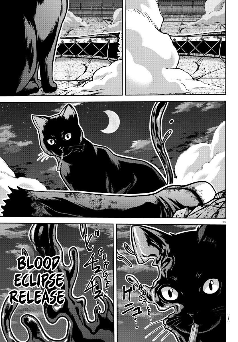 Tougen Anki Chapter 184 - Page 13