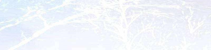 The Ghostly Doctor Chapter 477 - Page 43