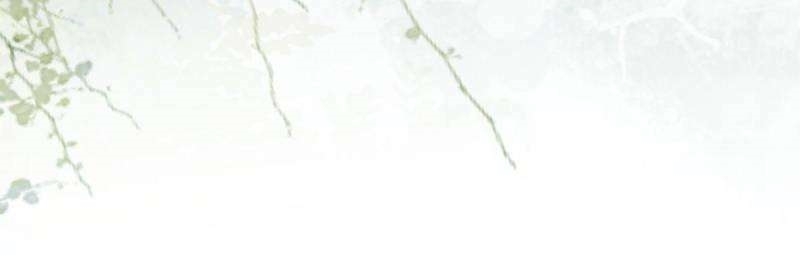 The Ghostly Doctor Chapter 552 - Page 41