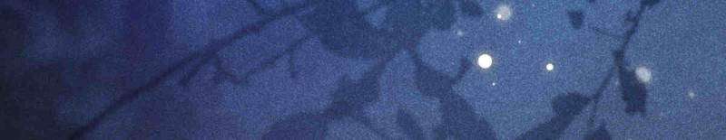 The Ghostly Doctor Chapter 627 - Page 41