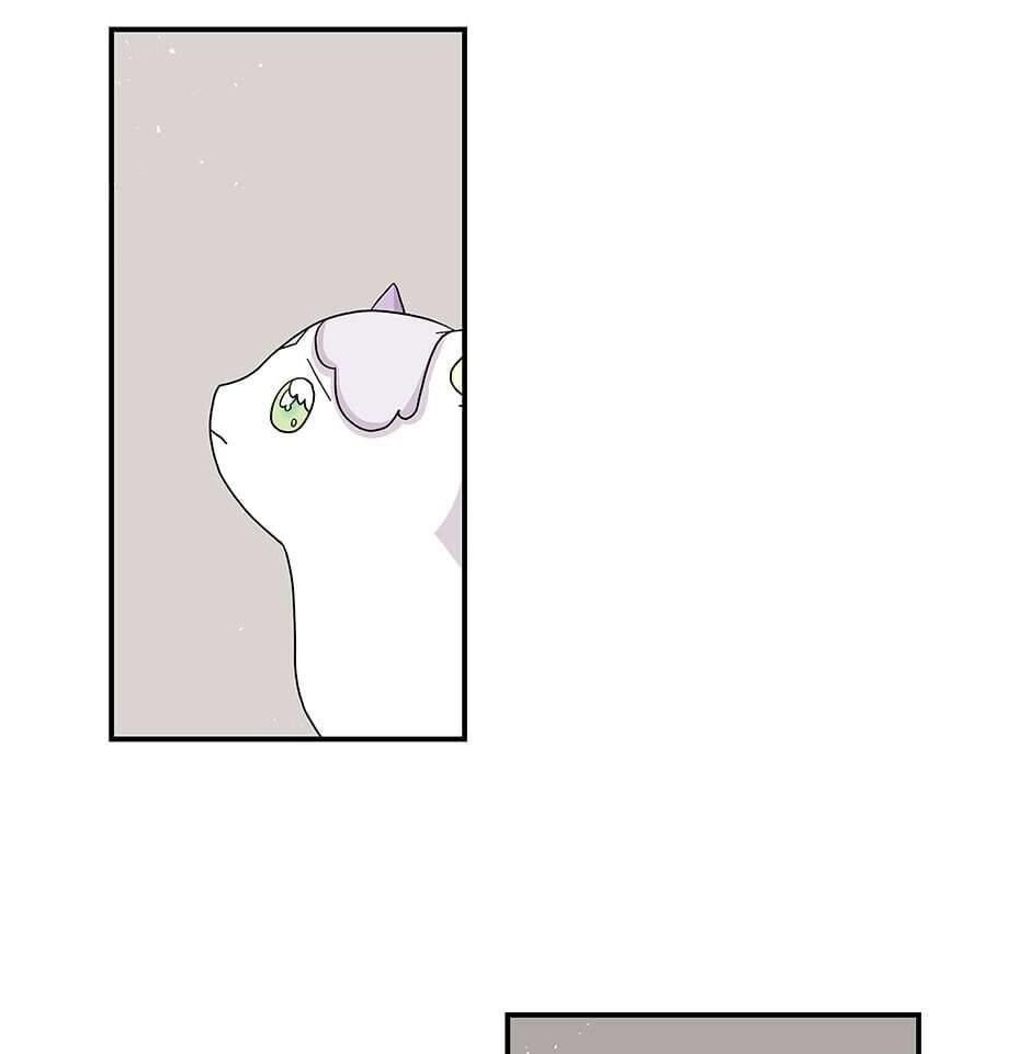 The Archmage’s Daughter Chapter 114 - Page 1