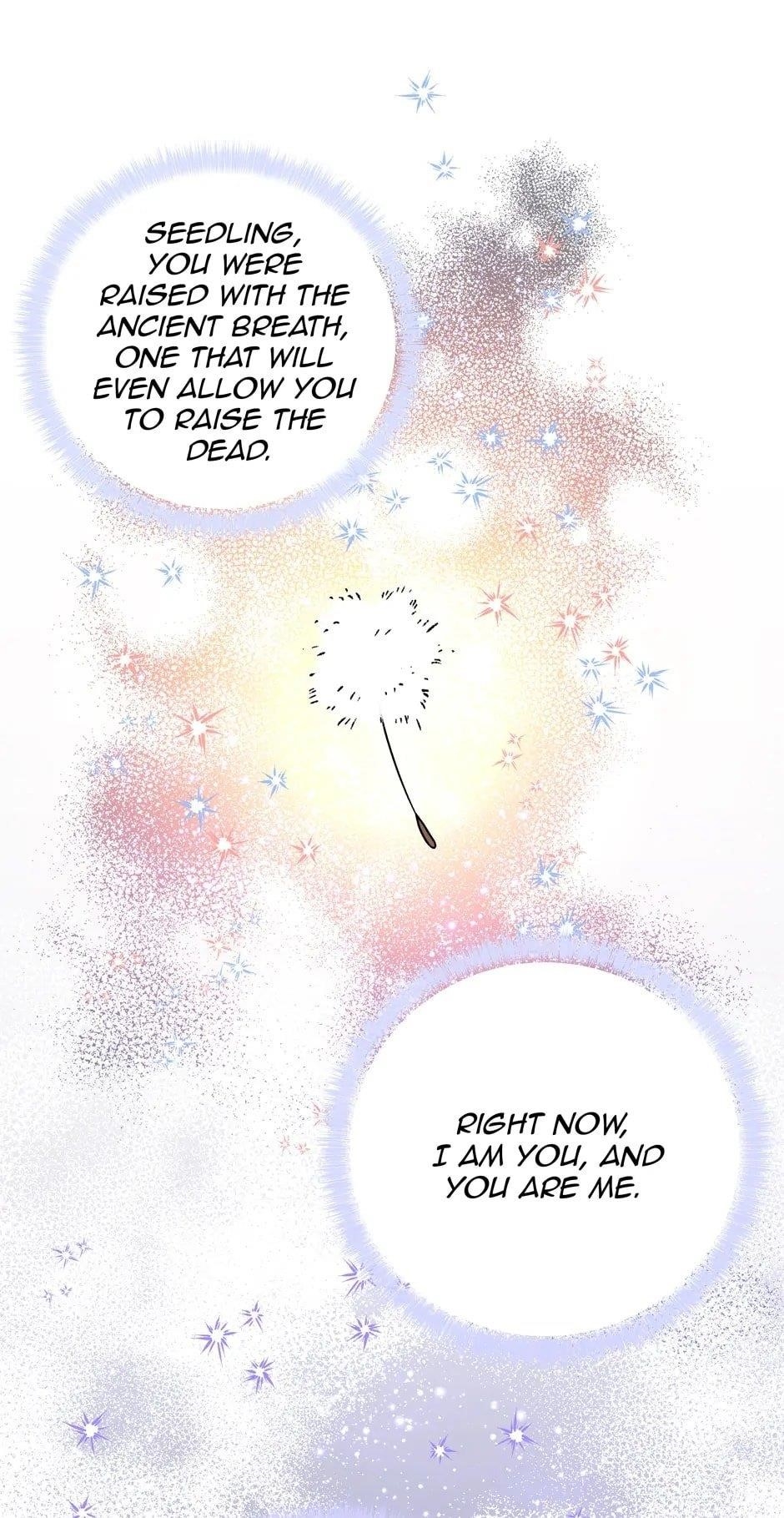 The Archmage’s Daughter Chapter 206 - Page 36