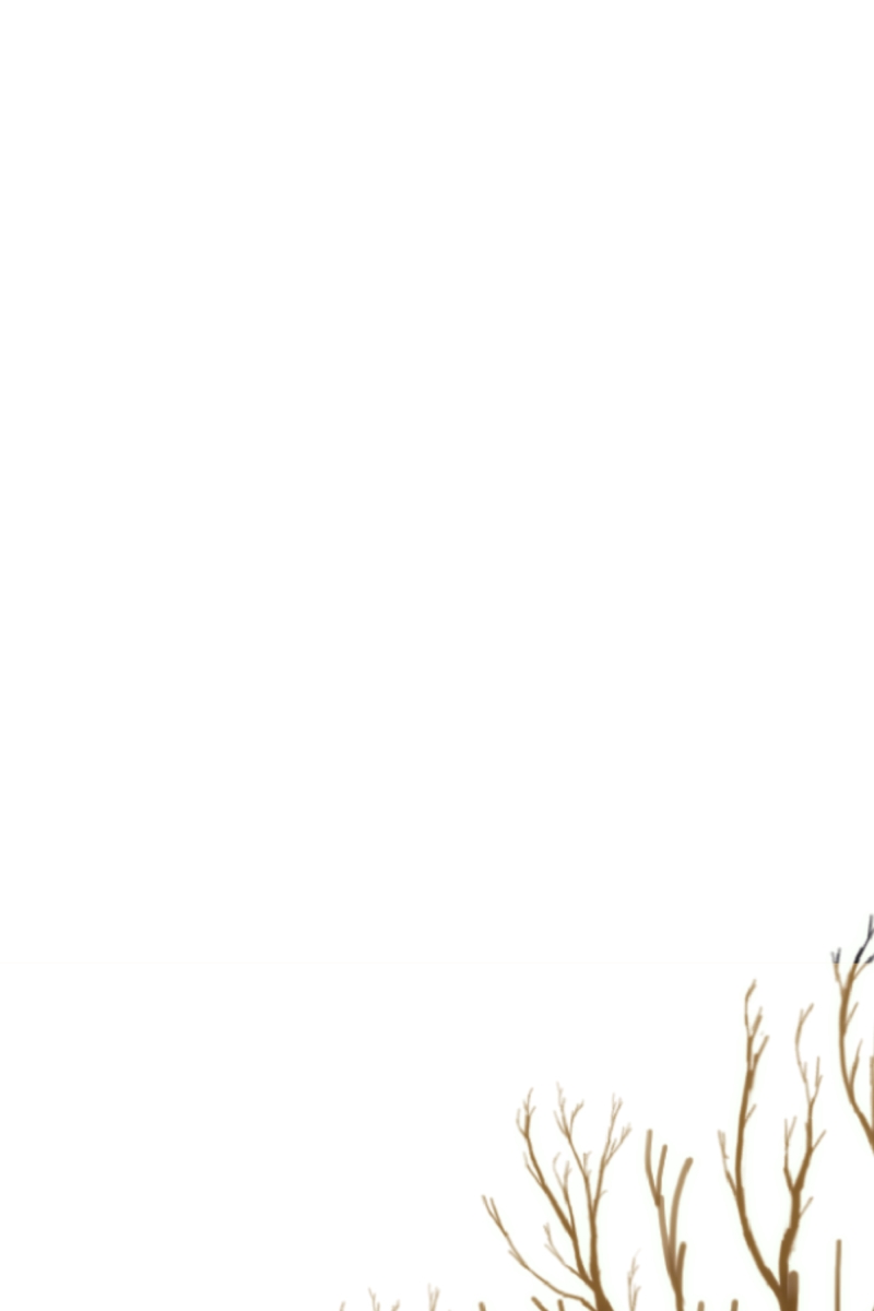 Rebirth-69Michi Chapter 128 - Page 1