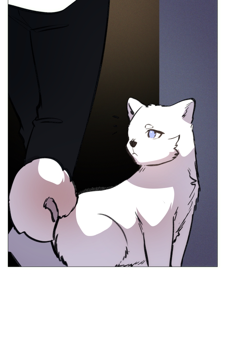 Rebirth-69Michi Chapter 154 - Page 37