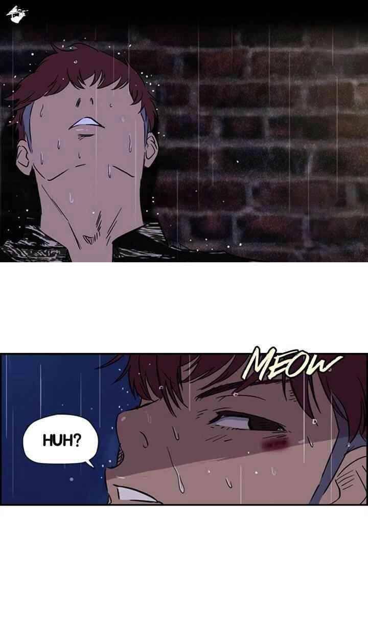 Wind Breaker Chapter 18 - Page 31