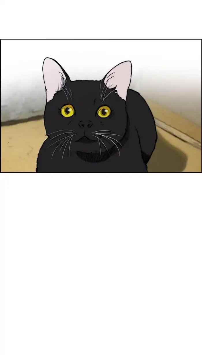 Wind Breaker Chapter 219 - Page 44