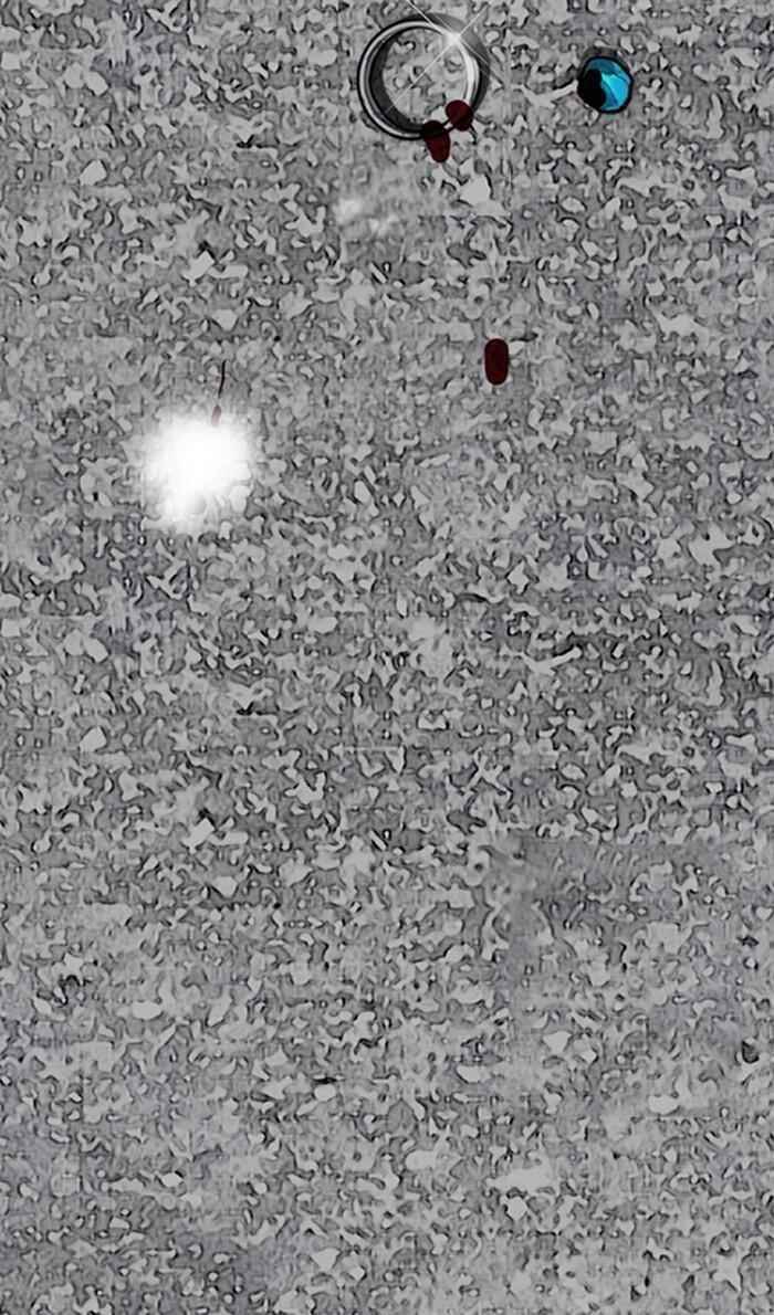 Wind Breaker Chapter 250 - Page 115