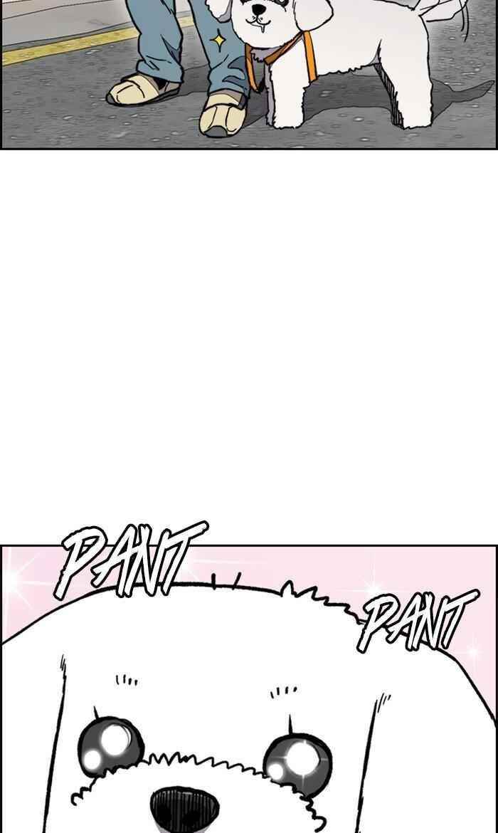 Wind Breaker Chapter 278 - Page 52