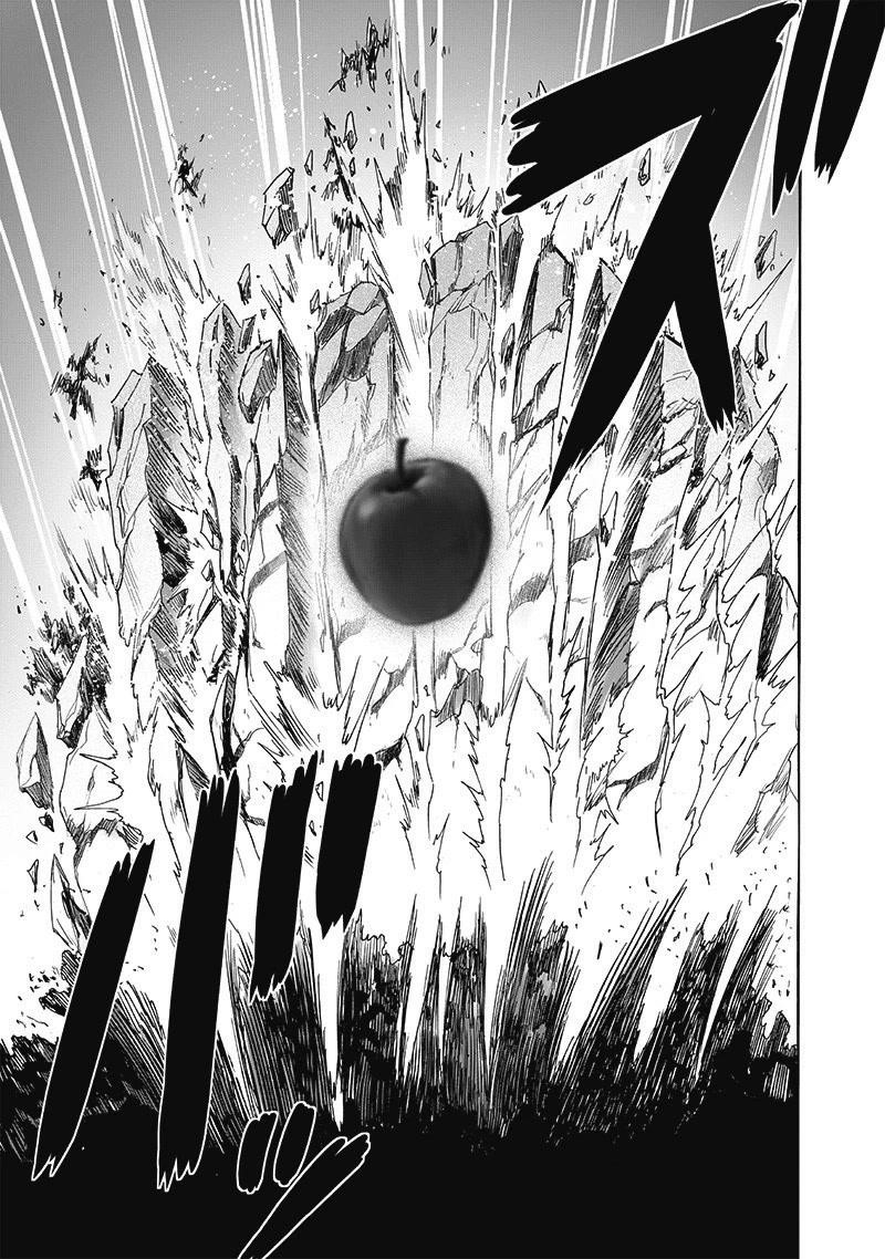 One Punch Man, onepunchman Chapter 248 - Page 15