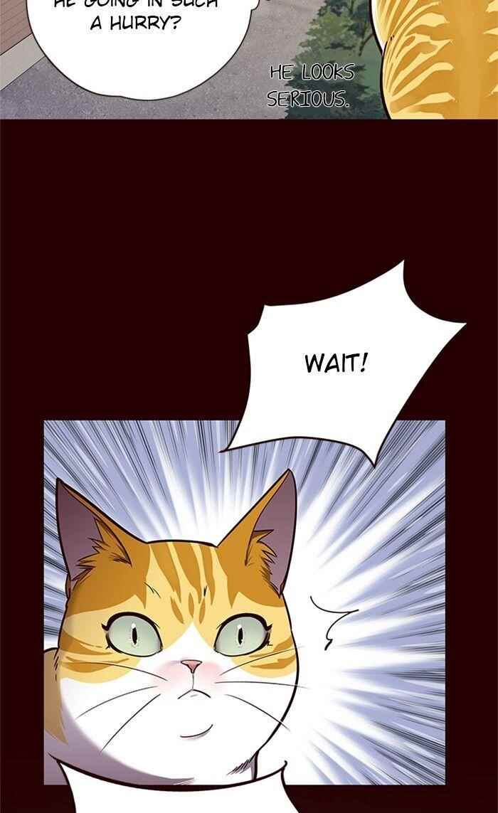 Eleceed Chapter 52 - Page 40