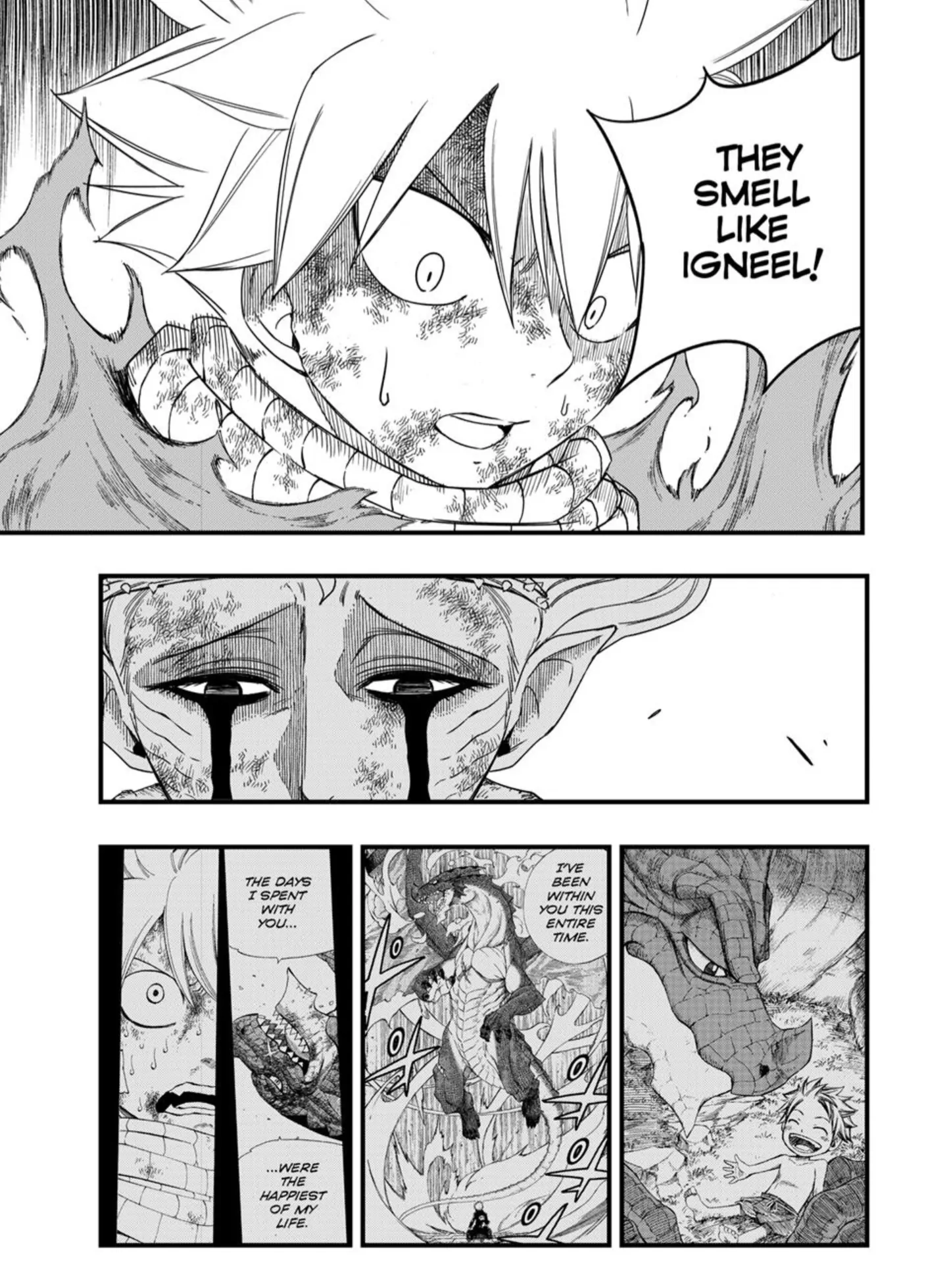 Fairy Tail 100 Years Quest Chapter 197 - Page 15