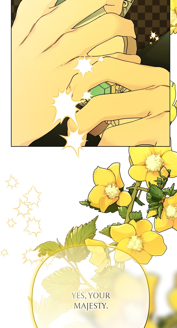 The Way That Knight Lives as a Lady Chapter 178 - Page 7