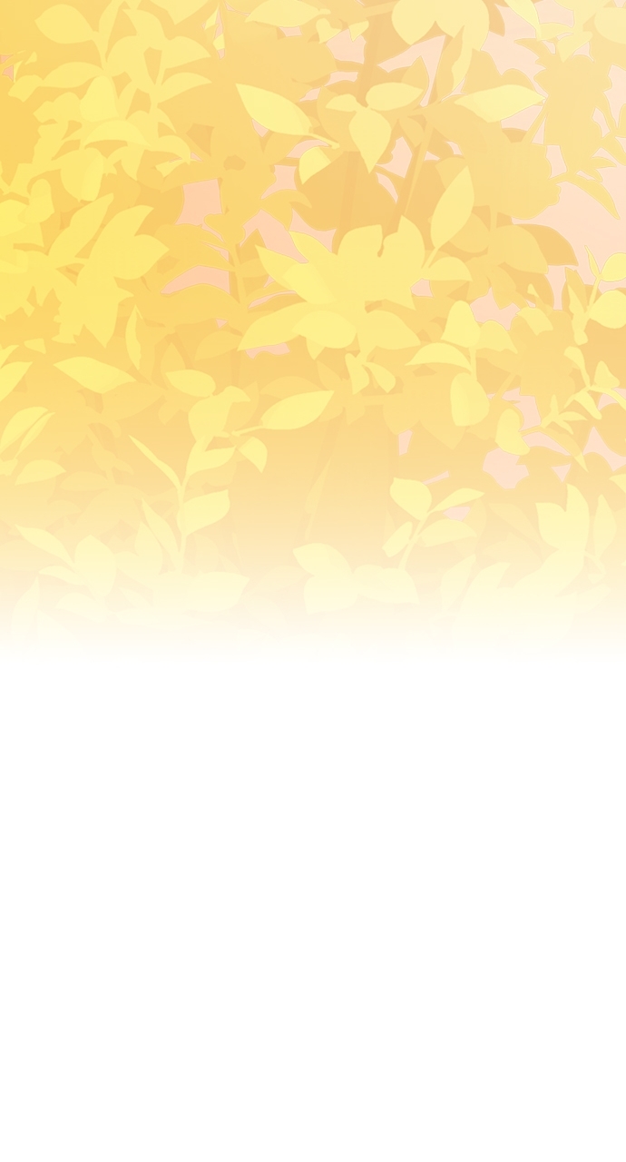 The Way That Knight Lives as a Lady Chapter 178 - Page 80