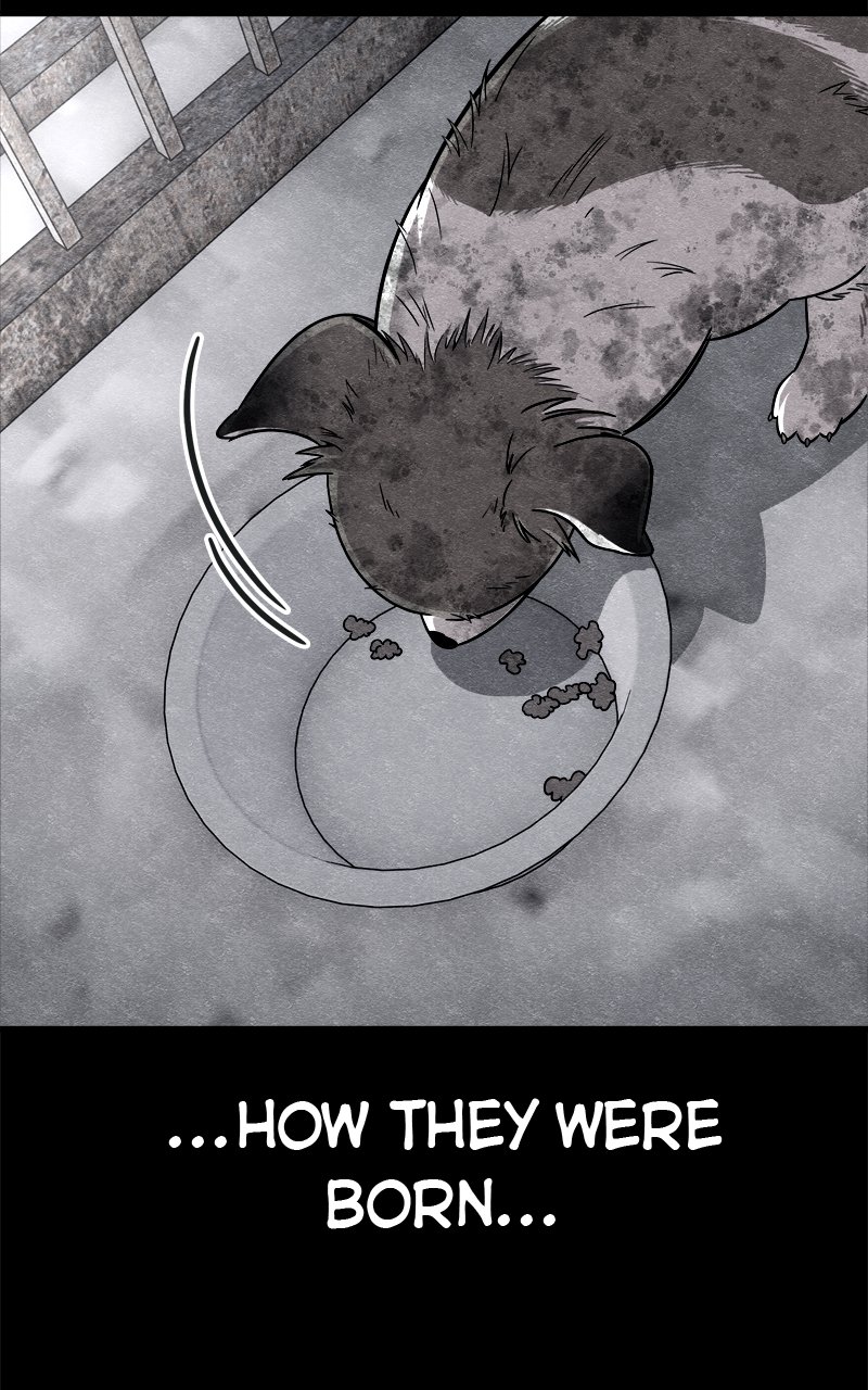 Zombie X Slasher Chapter 80 - Page 108