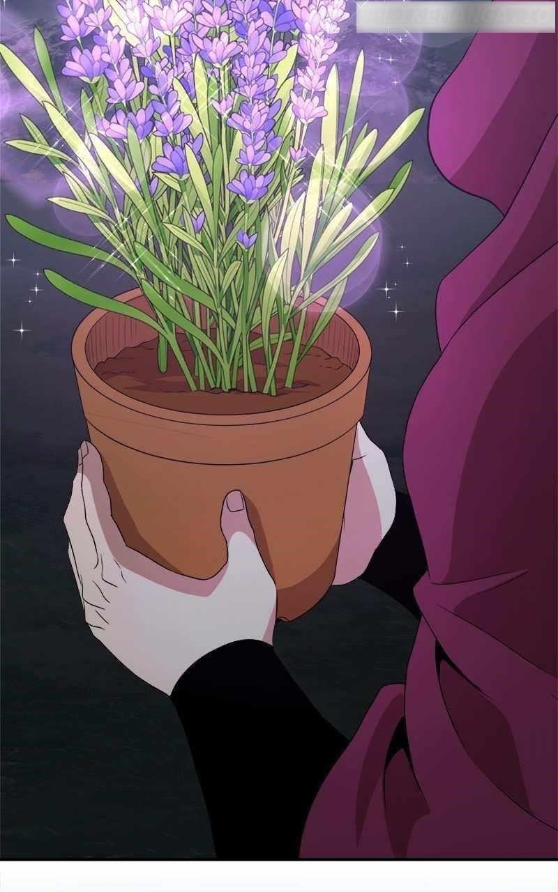 The Strongest Florist Chapter 178 - Page 19