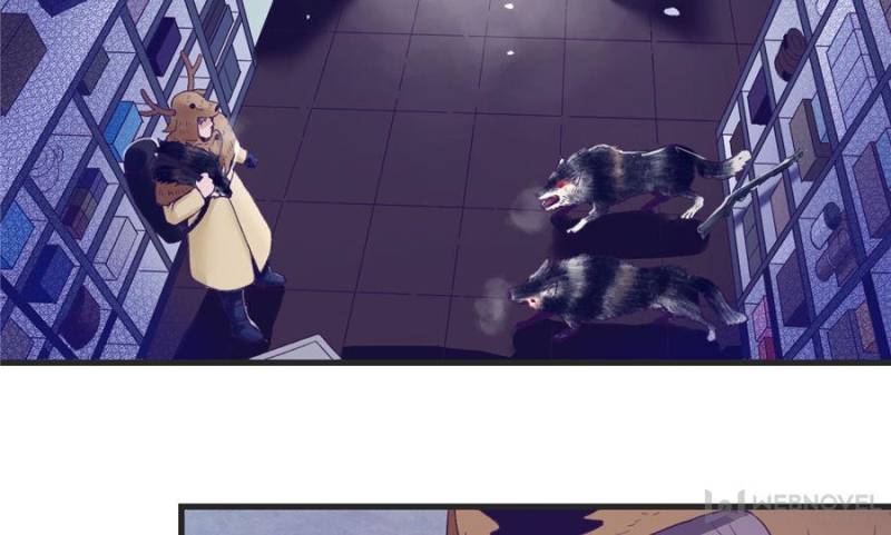 Dreamland Adventure Chapter 17 - Page 14