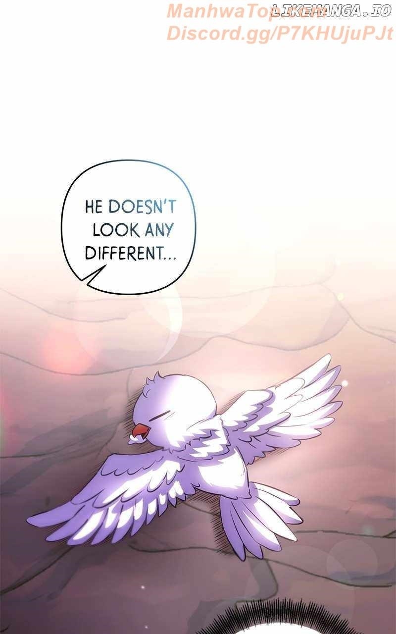 Surviving in an Action Manhwa Chapter 62 - Page 73