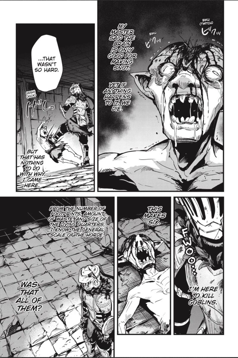 GOBLIN SLAYER: SIDE STORY YEAR ONE Chapter 88 - Page 14