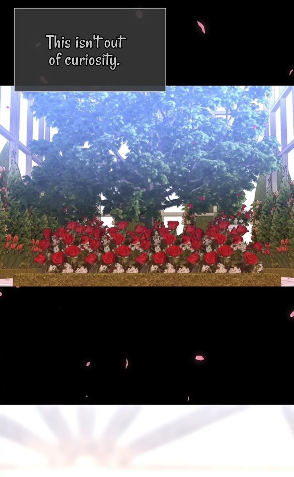 Charlotte Has Five Disciples Chapter 137 - Page 31