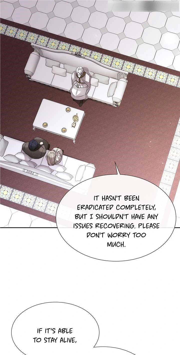 Charlotte Has Five Disciples Chapter 185 - Page 7