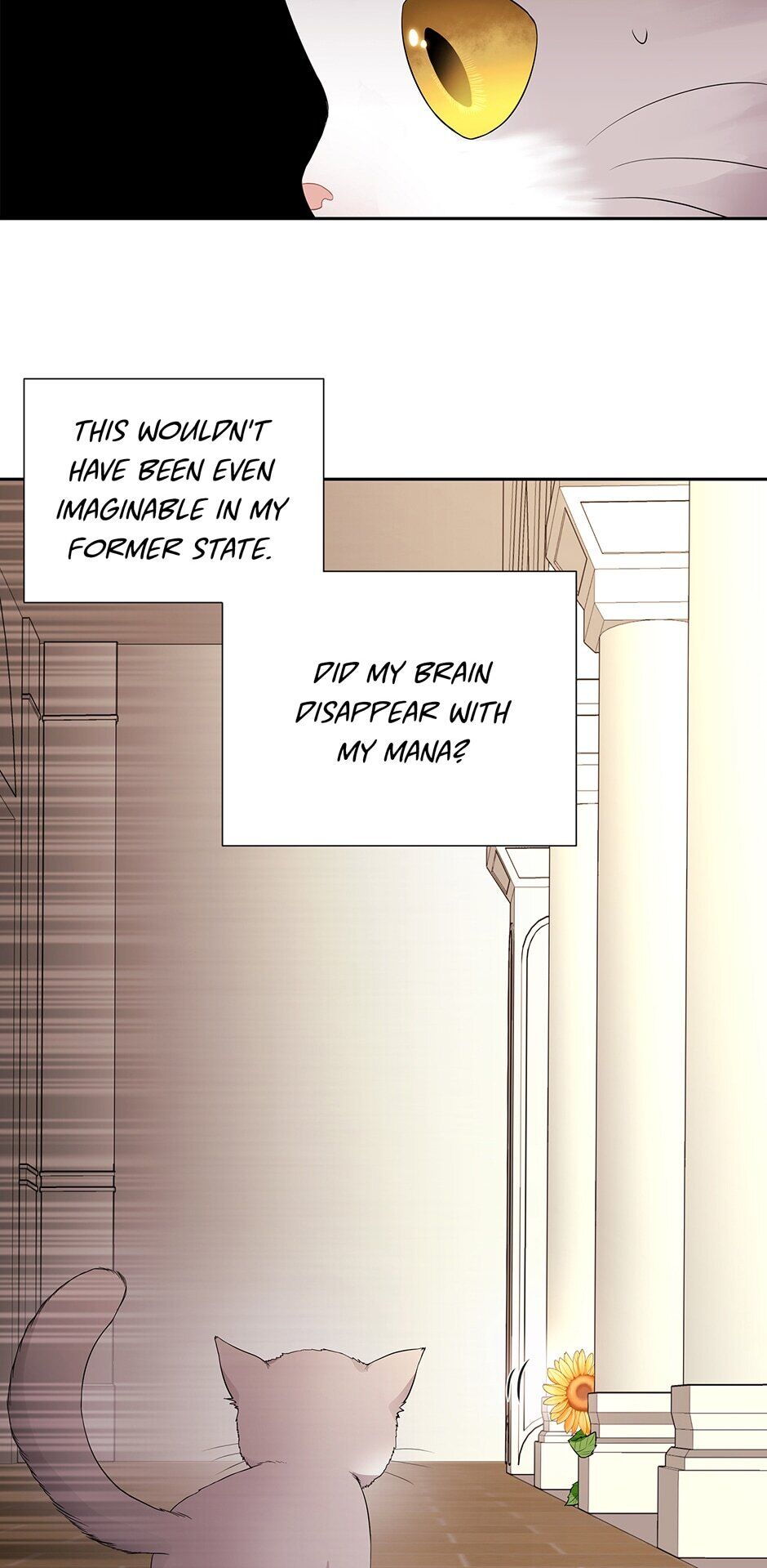 Charlotte Has Five Disciples Chapter 60 - Page 29