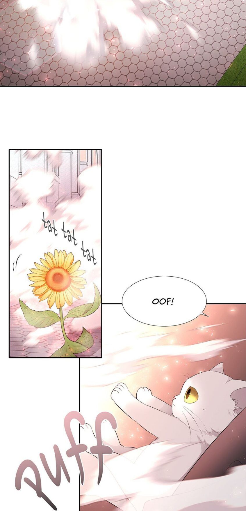 Charlotte Has Five Disciples Chapter 62 - Page 14