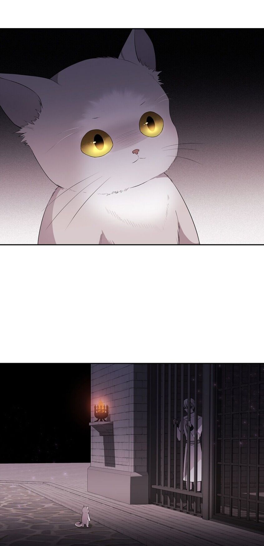 Charlotte Has Five Disciples Chapter 63 - Page 17