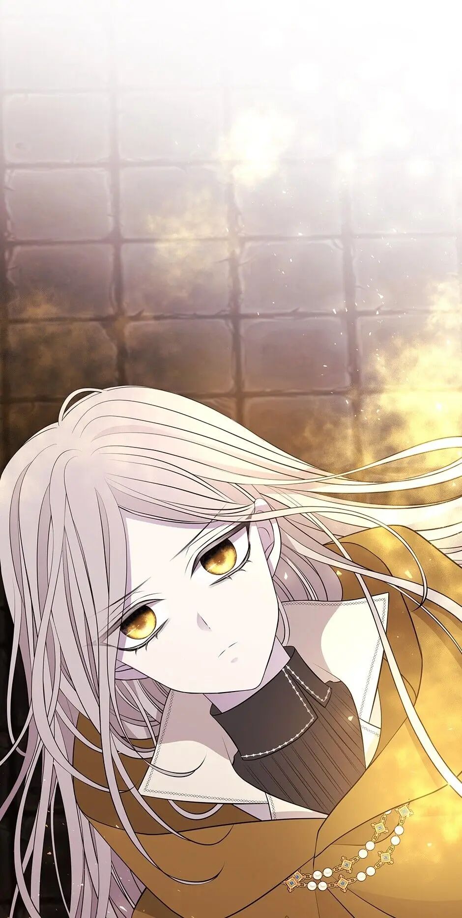 Charlotte Has Five Disciples Chapter 72 - Page 41