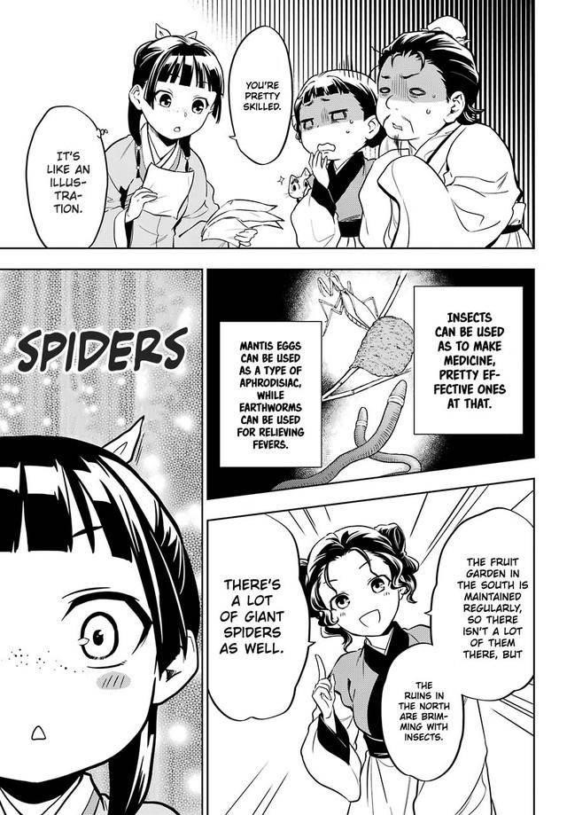 Kusuriya no Hitorigoto Chapter 43.1 - Page 21